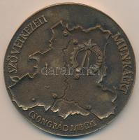 Fritz Mihály (1947-) 1987. "Csongrád Megye - Szövetkezeti Munkáért / LAK.SZÖV - ÁFÉSZ" bro...