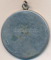 1976. "Sárospatak - Rákóczi Napok" fém emlékveret (d=39mm) T:2-