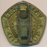 ~1970-1980. "Vállalati Tűzoltó" fém jelvény T:2