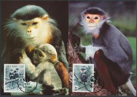 WWF Monkeys set on 4 CM WWF majmok sor 4 CM