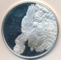 Hollandia 1977. "Leláncolt Prométheusz - Rubens Év" Ag emlékérem (30,9g/0.925/44,5mm) T:PP...