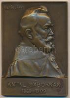 Istók János (1873-1972) DN "Antal Gábornak 1869-1909" Br plakett (58x81mm) T:2