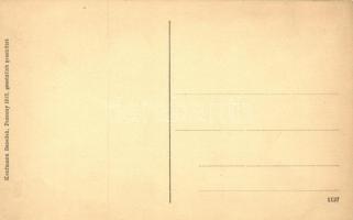 Pozsony, Pressburg; der grosse Brand am 17. Mai 1913; Verlag Kaufmann Benedek / great fire