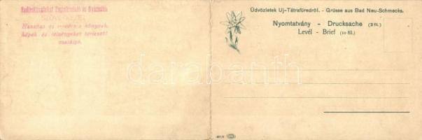 Újtátrafüred, Feitzinger Ede 1902/12 panoramacard