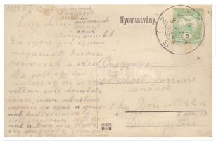 Csízfürdő, Horváth nyaraló, Szoyka Pál üzlete, bazár / villa, shop, bazaar; leporellocard