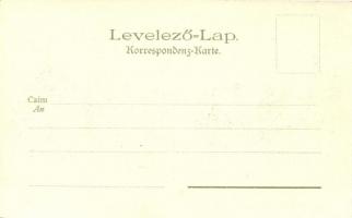 1899 Brassó, litho s: Geiger R