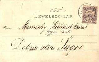 Buziás, Grand Hotel, church, litho