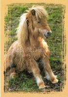 46 db MODERN főként használatlan motívumlap; ló, szamár, folklór / 46 modern mostly unused motive ca...