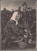 cca 1920-1930 Kerny István (1879-1963): Tokaji szüret, pecséttel jelzett vintage fotóművészeti alkotás, 24x18 cm