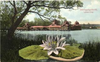 Hévízgyógyfürdő, Lótusz virág, Marton Mór kiadása