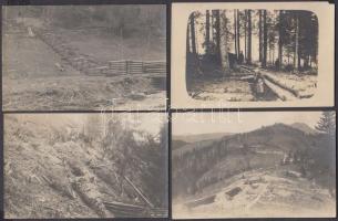 1917 Katonai fotók, a tölgyesi állások, fedezékek, 4 db fotólap feliratozva, 9x14 cm