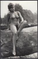 cca 1970 A favágó magányos asszonykája, finoman erotikus fénykép, 14x9 cm / erotic photo