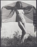 cca 1970 Fátyoltánc a pikniken, finoman erotikus fénykép, dokufotópapíron, 21x16 cm /
erotic photo