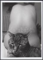 cca 1970 Hátakt, őrző-védő kandúrral, 18x13 cm / erotic photo