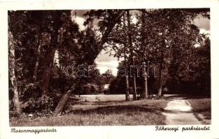 Mosonmagyaróvár, Főhercegi park