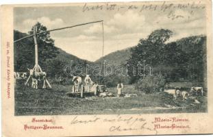 Budapest II. Máriaremete, Szentkút, tehén itató, Divald (Rb)