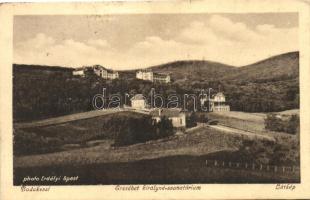 Budakeszi, Erzsébet királyné szanatórium