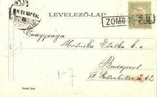 Zombor, Szabadság tér, ünnepség a Schweidel-szobornál / Liberty square, inauguration of Schweidel ...