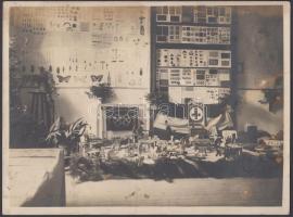 cca 1910 A Magyar Vörös Kereszt Egylet Ifjúsági Osztályának kiállítása, 18x24 cm