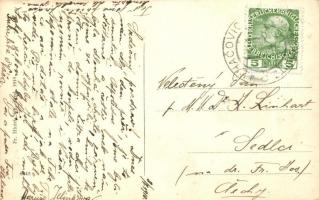 Luhacovice, Pohled z Daliborky / view