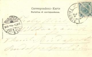 Trieste, Miramar castle Art Nouveau floral litho