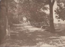 cca 1930 Sétaút Szigliget felé, feliratozott fotó, 17x23 cm