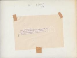 cca 1960 Sziklai Dezső (1910-1997): Szüret Badacsonyban, feliratozott sajtófotó, 18x24 cm