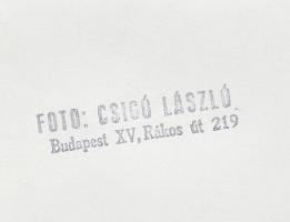 cca 1980 Csigó László: A gazdira várva, pecséttel jelzett vintage fotó, 24x18 cm