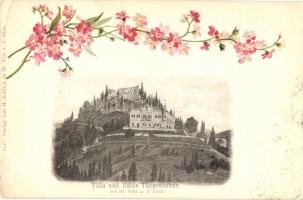 1899 Sankt Veit an der Glan, Villa und Ruine Taggenbrunn, Verlag von H. Schlick / villa, castle, floral, litho (EK)
