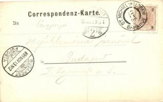 1899 Sankt Veit an der Glan, Villa und Ruine Taggenbrunn, Verlag von H. Schlick / villa, castle, flo...