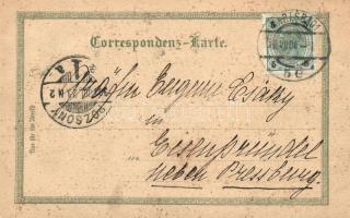 Karlovy Vary, Karlsbad; Hirschensprung, floral, litho