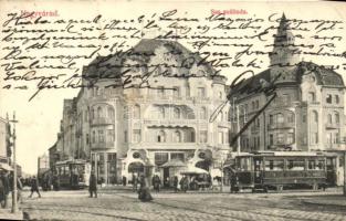Nagyvárad, Fekete Sas Nagyszálloda, villamos, Részvénytársaság, kiadja Rigler József Ede / hotel, tram, bank (fa)