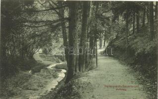 Savanyúkút, Sauerbrunn; Reitsteig / forest (EK)