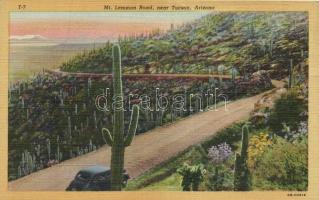 Tucson, Mt. Lemmon Road, automobile