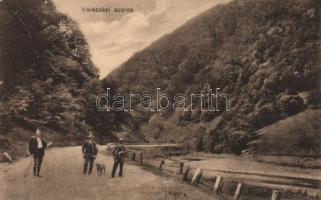 Vereckei-szoros, vadászok / hunters