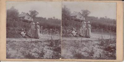 1904 Szénavölgy (Baracska) 4 db mozgalmas sztereófotó