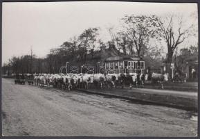 1945. május, Tiszavölgyi József: Budapest éhező lakossága lábon kaja az élelmiszer utánpótlást, a háttérben a 24-es villamos, pecséttel jelzett vintage fotó, 11x17 cm