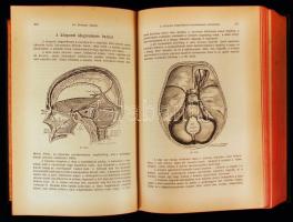 Bókay Árpád, Kéthli Károly, Korányi Frigyes (szerk.): A belgyógyászat kézikönyve VI.: Az idegrendsze...