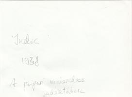 1938 India, a jaipuri maharadzsa vadásztábora (amelynek vendége volt Széchenyi Zsigmond is), a csalá...