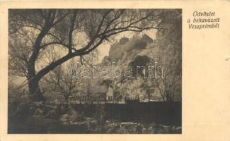 Veszprém télen, Vesztroczi Sándor felvétele