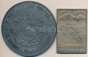 1942. "VIII. Balatoni Sporthét" Br plakett eredeti tokban (55x38mm) + 1943. "A Magyar Úszó Egyesület 50 éve a sport szolgálatában" fém díjérem eredeti tokban (68mm) T:2
