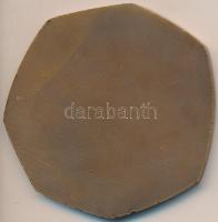 Kovács Dezső (1921-) "Magyar Testnevelési Főiskola" Br plakett tokban (69mm) T:2