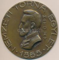 Sóváry János (1895-1966) DN "Nemzeti Torna Egylet - 1863 - Matolay" Br emlékérem eredeti tokban (80mm) T:2,2-