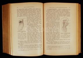 Lejars Félix: Sürgős sebészeti műtétek. Bp., 1906, Magyar Orvosi Könyvkiadó Társulat. (A Magyar Orvo...