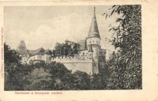 Vajdahunyad vár / castle