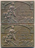 1929.  "M. Kir. I. Honvéd Gyalogezred Egyetemi Század / A szép munka jutalmául 1929" Br plakett (34x50mm) + 1930. "M. Kir. I. Honvéd Gyalogezred Egyetemi Század / Dísztorna 1930" Br plakett (34x50mm) T:2