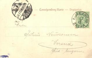 Brcko, Rathaus / town hall