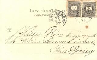 1899 Sofia, Kunstanstalt Kosmos, litho