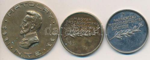 Sóváry János (1895-1966) / Ludvig József 1933. "N.T.E. (Nemzeti Torna Egylet) - 1863 - Matolay / Épség - Erő - Egyetértés" Br emlékérem (40mm) + Damkó József (1872-1955) / Exner Károly (1850-1919) + ~1930. "Magyarországi Testedző-Egyesületek Szövetsége" fém emlékérem (30mm) + "Magyar Országos-Torna Szövetség" Br emlékérem (30mm) T:2,2-