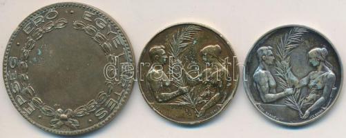 Sóváry János (1895-1966) / Ludvig József 1933. "N.T.E. (Nemzeti Torna Egylet) - 1863 - Matolay ...